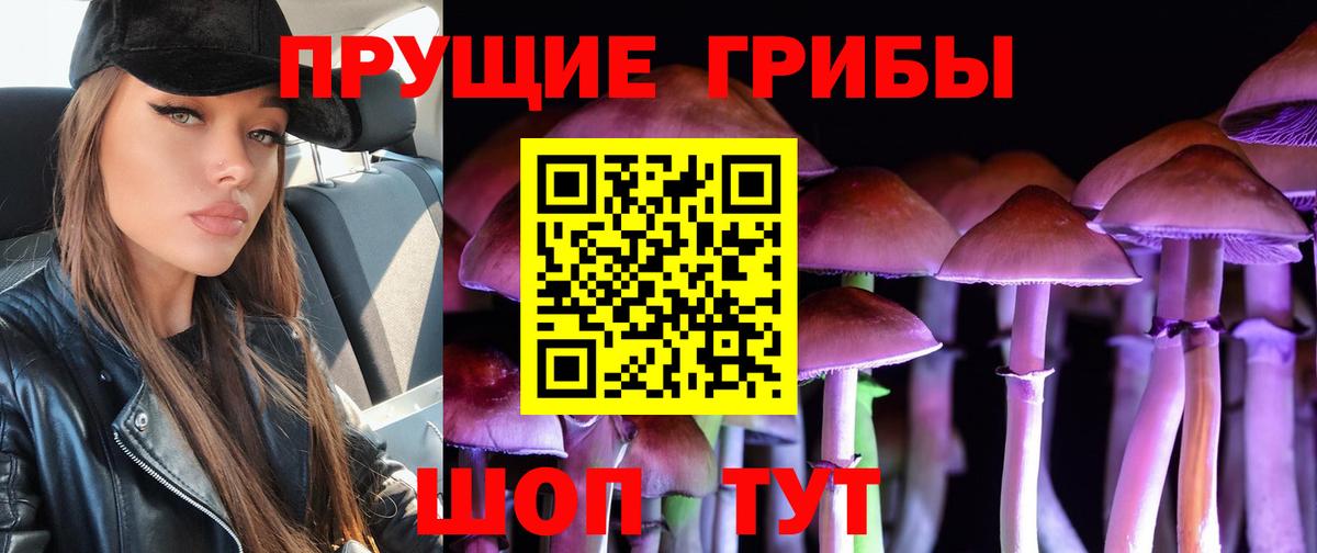 что такое наркотик  Псилоцибиновые грибы ЛСД  Галлюциногенные грибы Psilocybe  Вход с VPN  Краснознаменск 